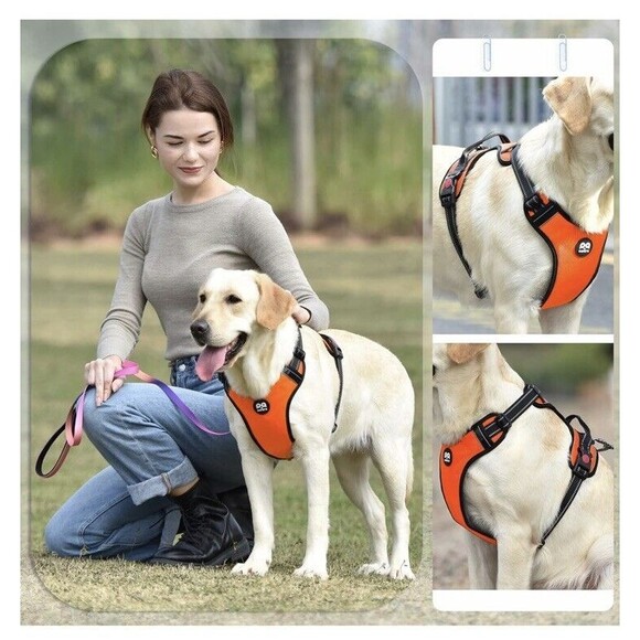 Roses And Poetry Dog Harness Outdoor Orange Size XL No Pull - Picture 5 of 7